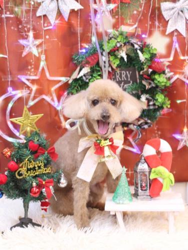 20231223こたろうくん